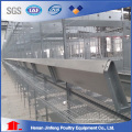 Low Price H Type Poultry Chicken Birds Equipment for Farm Agriculture Use